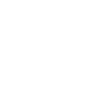 dollar-icon